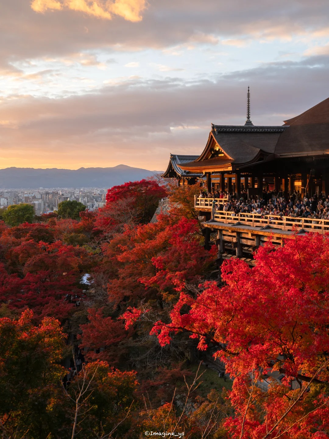 关西红叶一日游