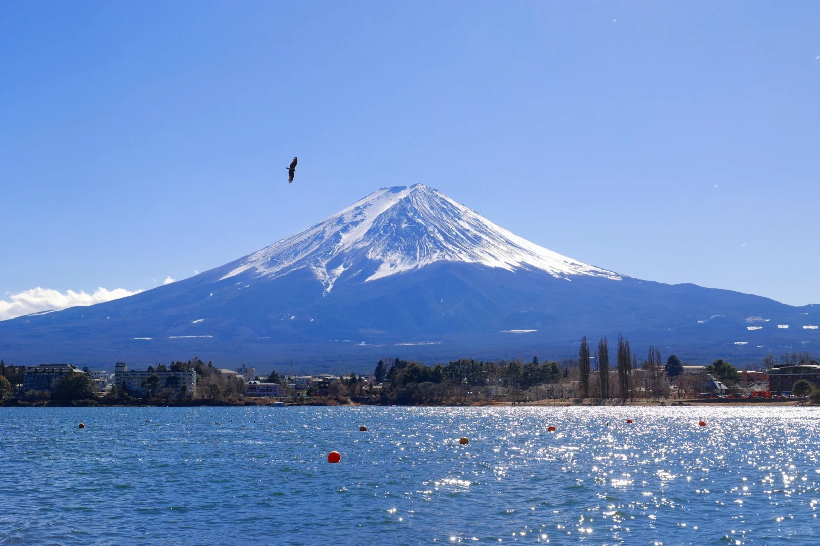 富士山一日游